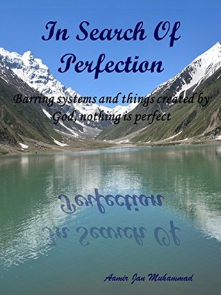 Read Online In Search of Perfection: Barring systems and things created by God, nothing is perfect - Aamir Jan Muhammad file in ePub