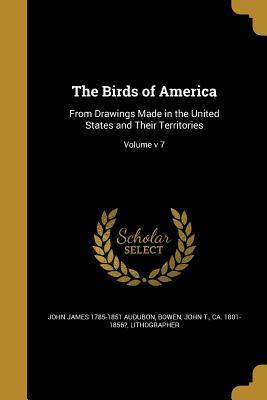 Full Download The Birds of America: From Drawings Made in the United States and Their Territories; Volume V 7 - John James Audubon file in ePub