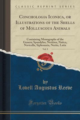 Download Conchologia Iconica, or Illustrations of the Shells of Molluscous Animals, Vol. 9: Containing Monographs of the Genera; Spondylus, Neritina, Natica, Navicella, Siphonaria, Nerita, Latia (Classic Reprint) - Lovell Augustus Reeve file in ePub