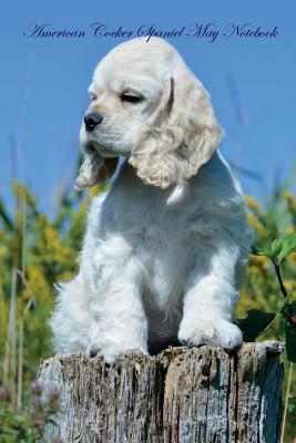 Download American Cocker Spaniel May Notebook American Cocker Spaniel Record, Log, Diary, Special Memories, To Do List, Academic Notepad, Scrapbook & More - Spaniel World | PDF