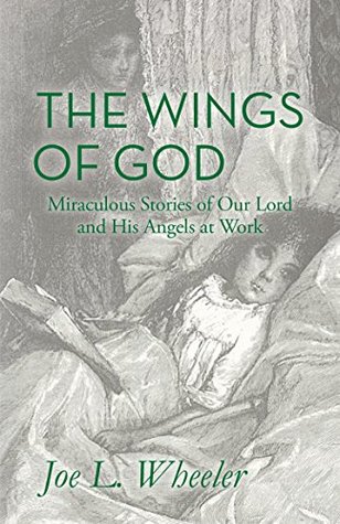 Read Online The Wings of God: Miraculous Stories of Our Lord and His Angels at Work - Joe L. Wheeler file in PDF