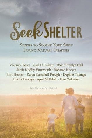 Download Seek Shelter: Stories to Soothe Your Spirit During Natural Disasters - Amberlyn Dwinnell | ePub