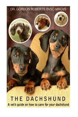 Full Download The Dachshund: A vet's guide on how to care for your Dachshund - Gordon Roberts | PDF