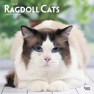 Read Online Ragdoll Cats 2019 12 x 12 Inch Monthly Square Wall Calendar, Animals Cats -  file in ePub