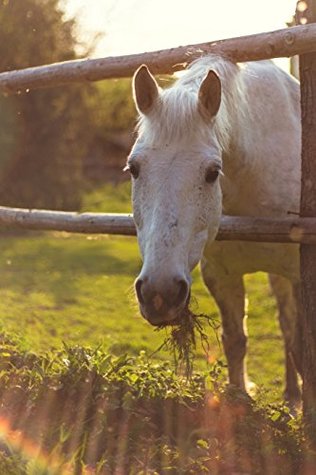 Full Download Journal: White Horse Design Cover - Blank Journal / Sketch / Drawing Book - 6 X 9 Paper - Unlined Notebook / Diary - 100 Pages -  | PDF