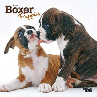 Read Boxer Puppies 2019 7 x 7 Inch Monthly Mini Wall Calendar, Animals Dog Breeds Puppies (English, French and Spanish Edition) -  | PDF