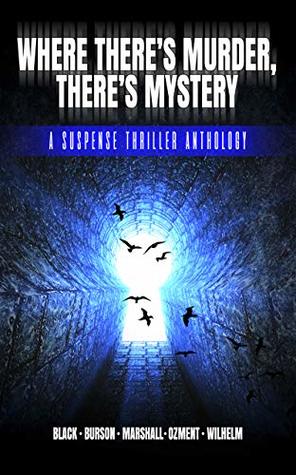 Read Online Where There's Murder, There's Mystery: A Suspense Thriller Anthology - Jessica Ozment file in ePub