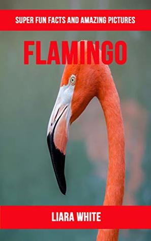 Read Online Flamingo: Super Fun Facts And Amazing Pictures - Liara White | ePub