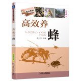 Read Efficient rich culture train: Efficient Beekeeping - ZHANG ZHONG YIN | ePub