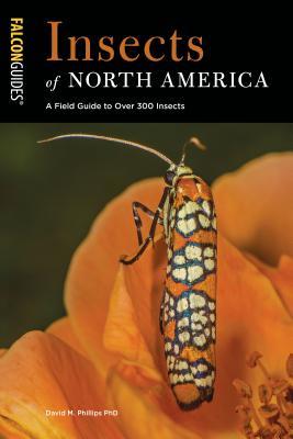 Read Insects of North America: A Field Guide to Over 300 Insects - David M. Phillips | PDF