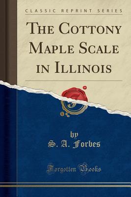 Read The Cottony Maple Scale in Illinois (Classic Reprint) - Stephen Alfred Forbes file in ePub