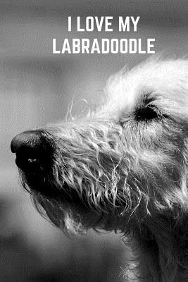 Read Online I Love My Labradoodle: Lined Journal Notebook To Write In For Women Who Love Their Labradoodle With 150 High Quality White Pages -  | ePub